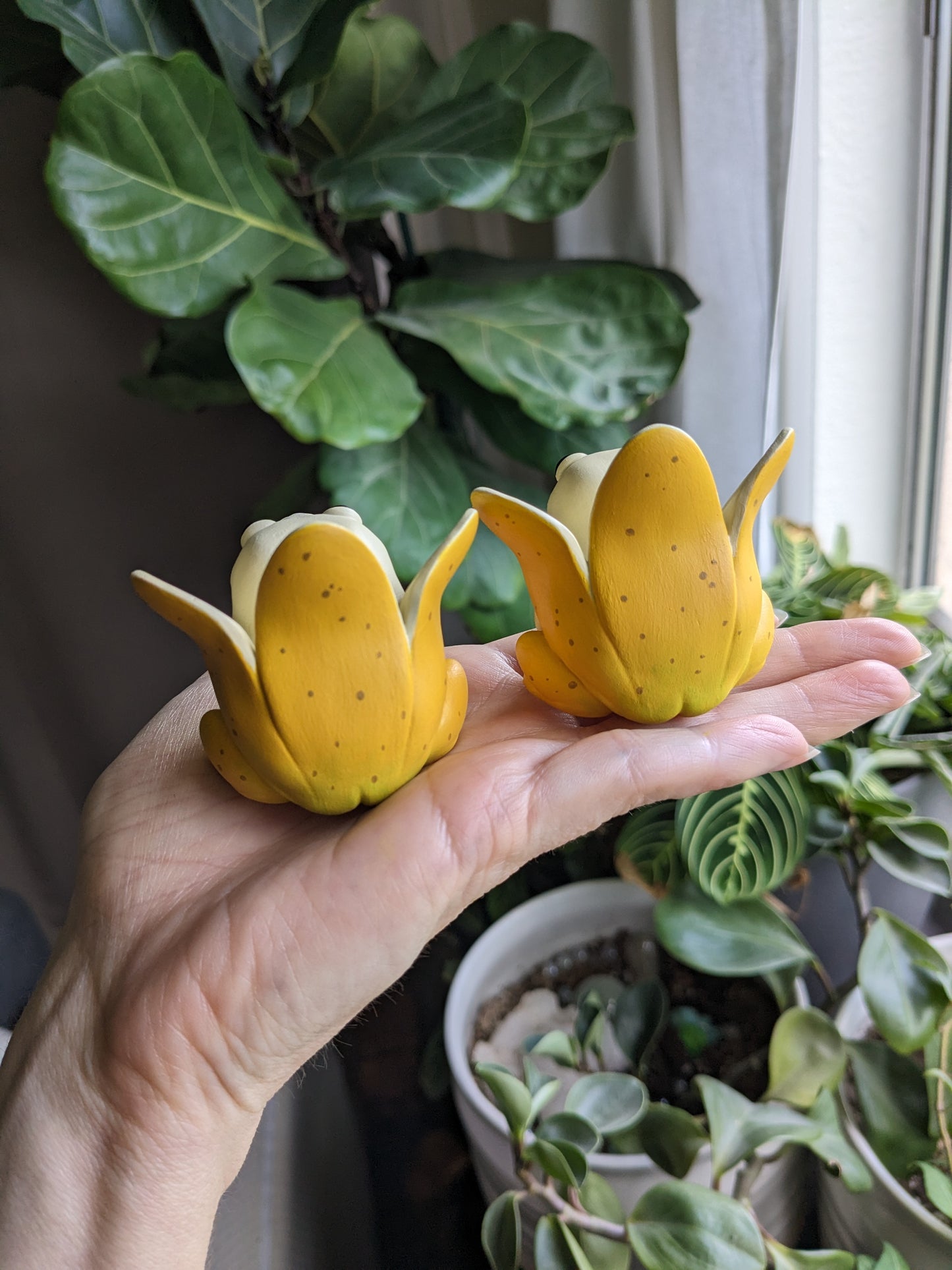 Banana Frog