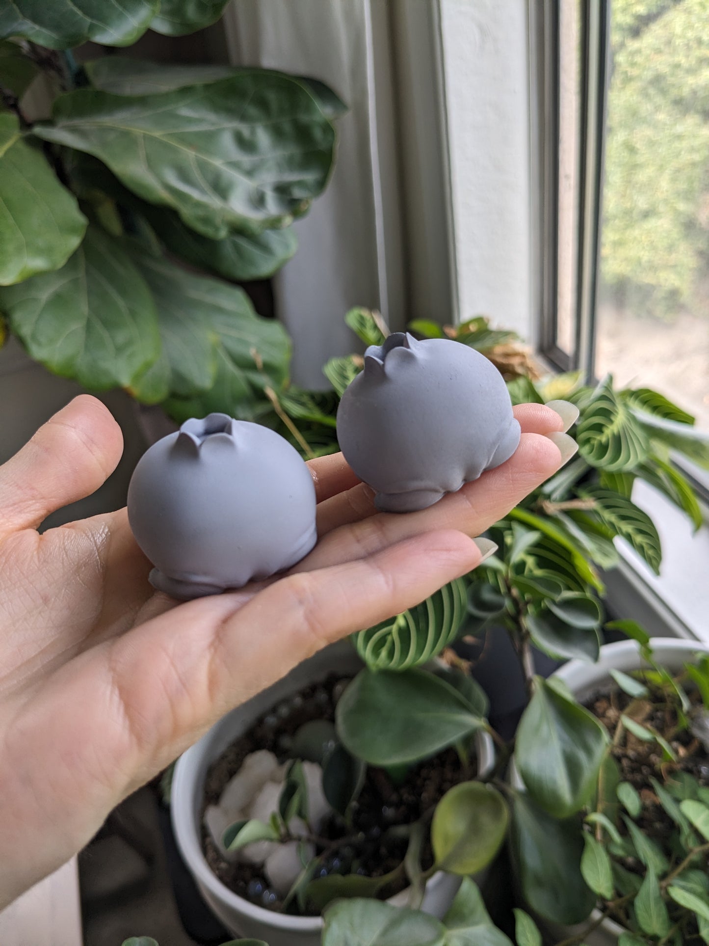 PYO Blueberry Frog