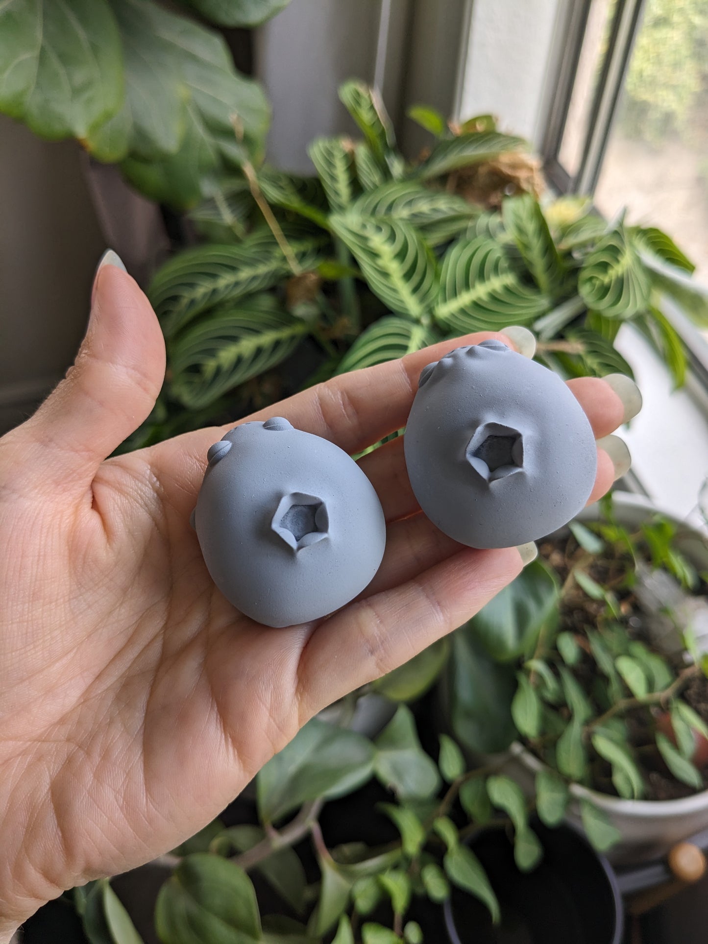 PYO Blueberry Frog
