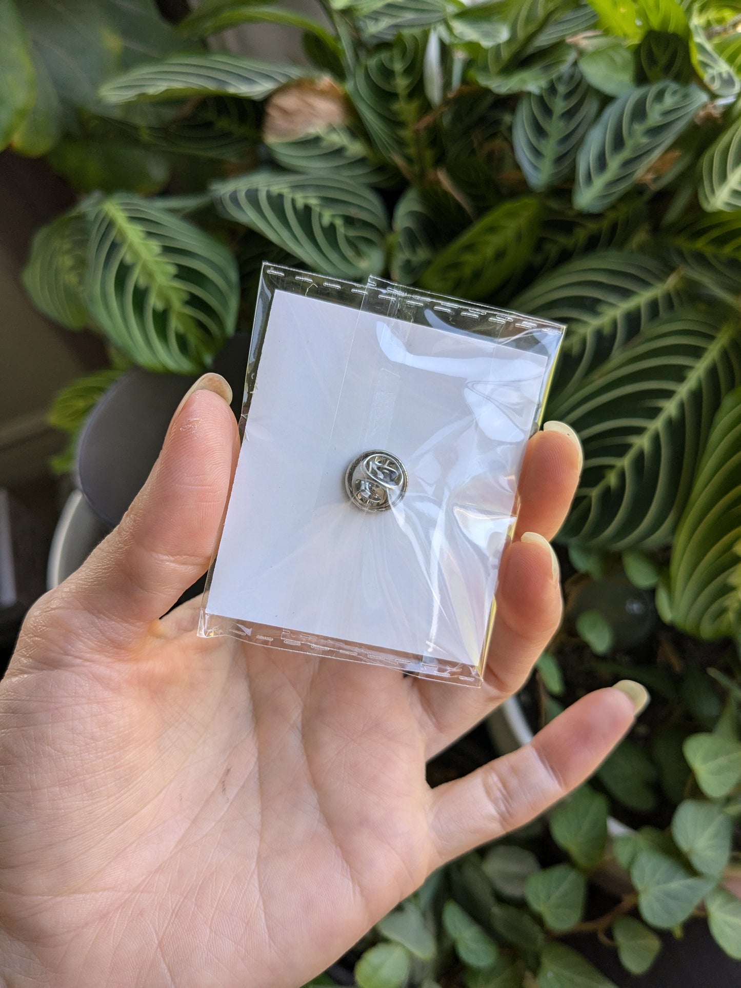 Enamel Pin - Pickle Frog
