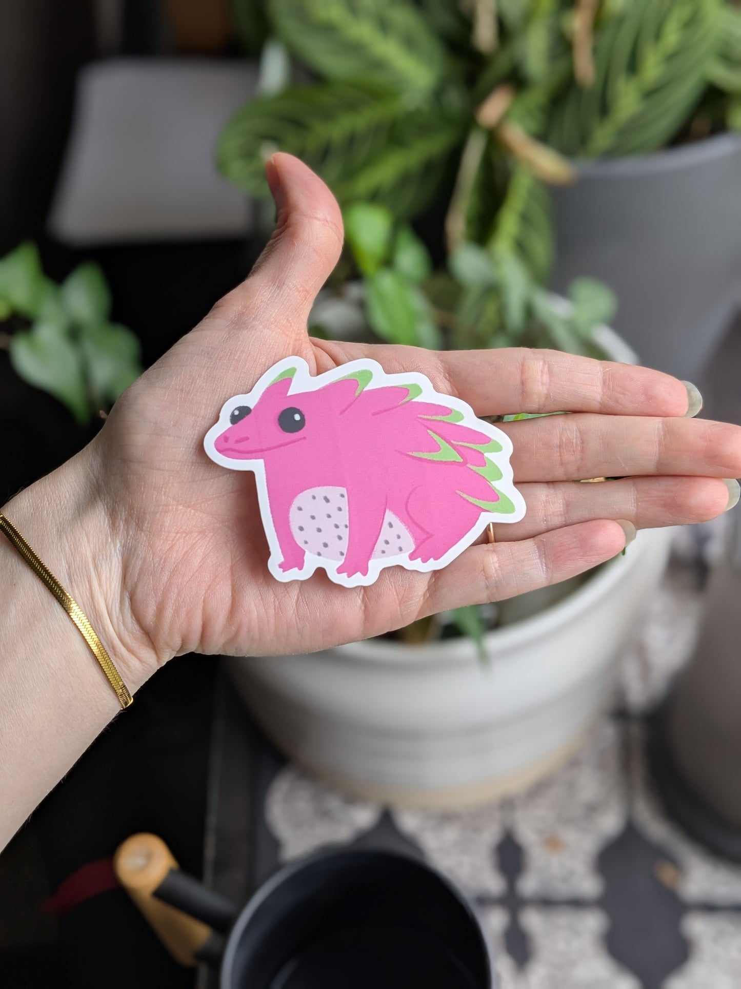 Sticker Frog - Dragonfruit