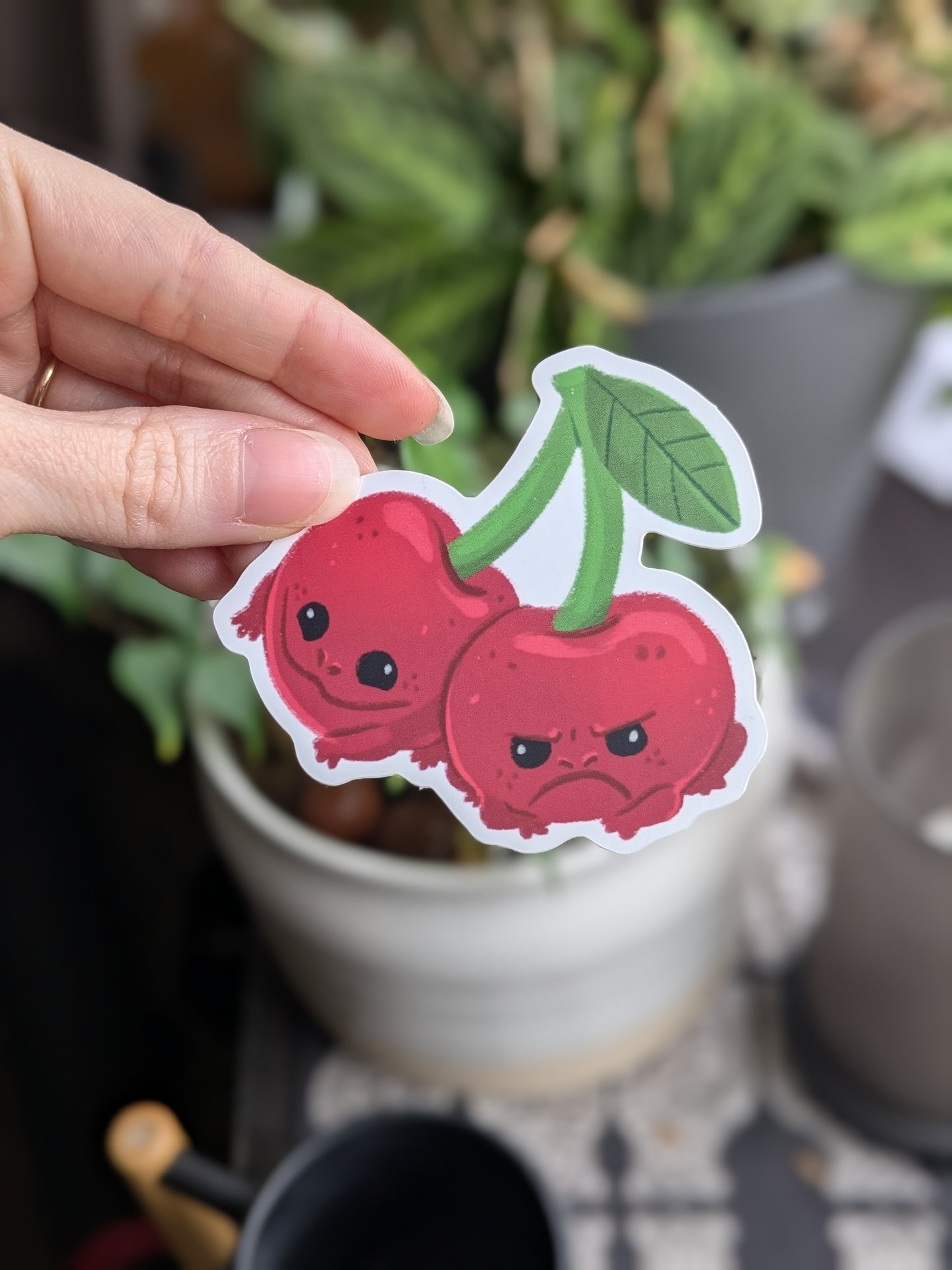 Sticker Frog - Cherries