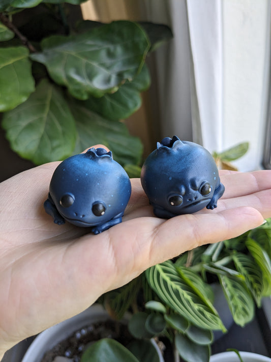 Blueberry Frog
