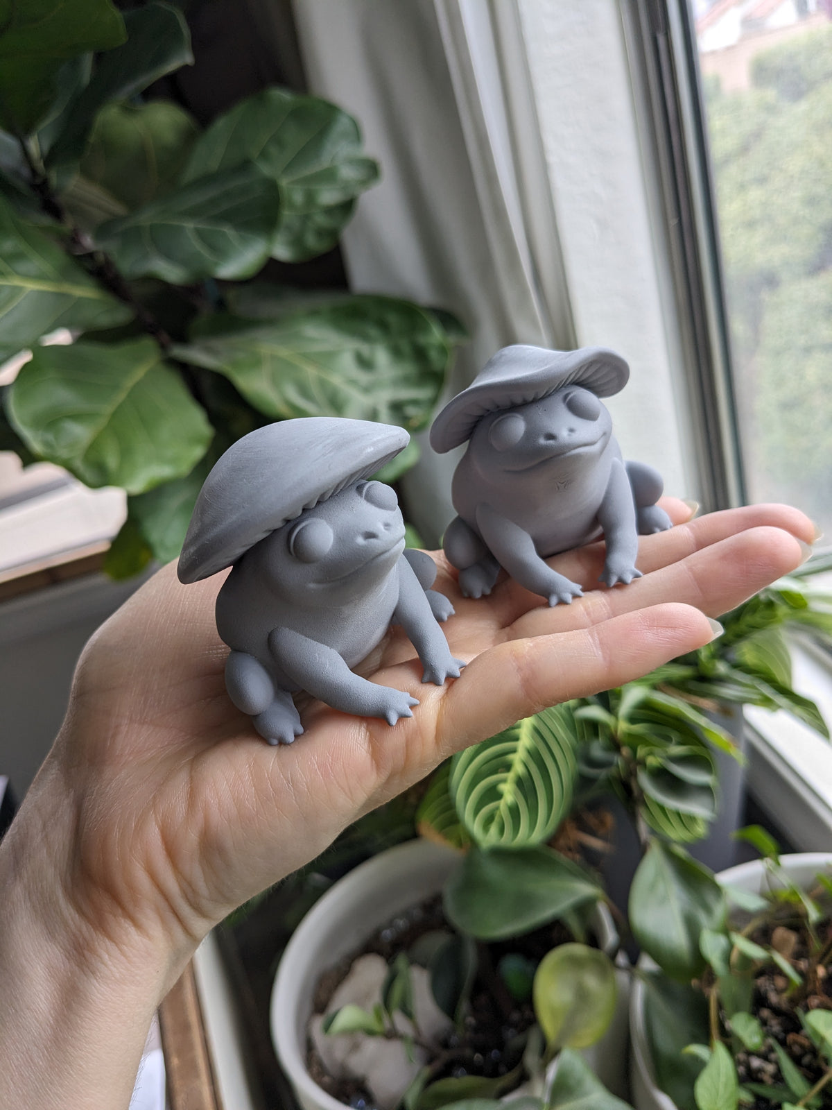 PYO Mushroom Frog | B-Grade