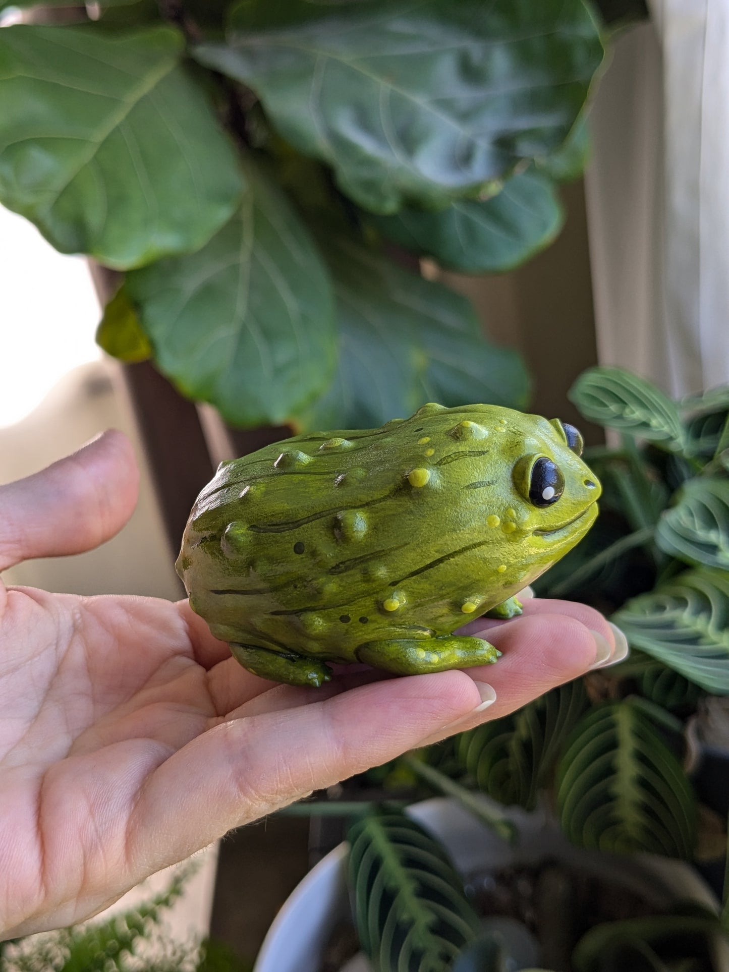 Pickle Frog