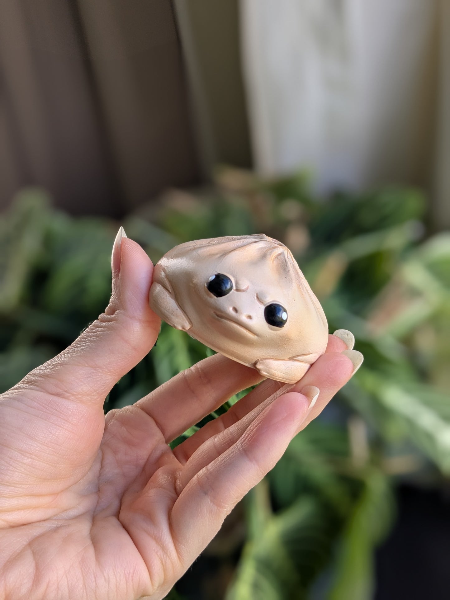 Dumpling Frog
