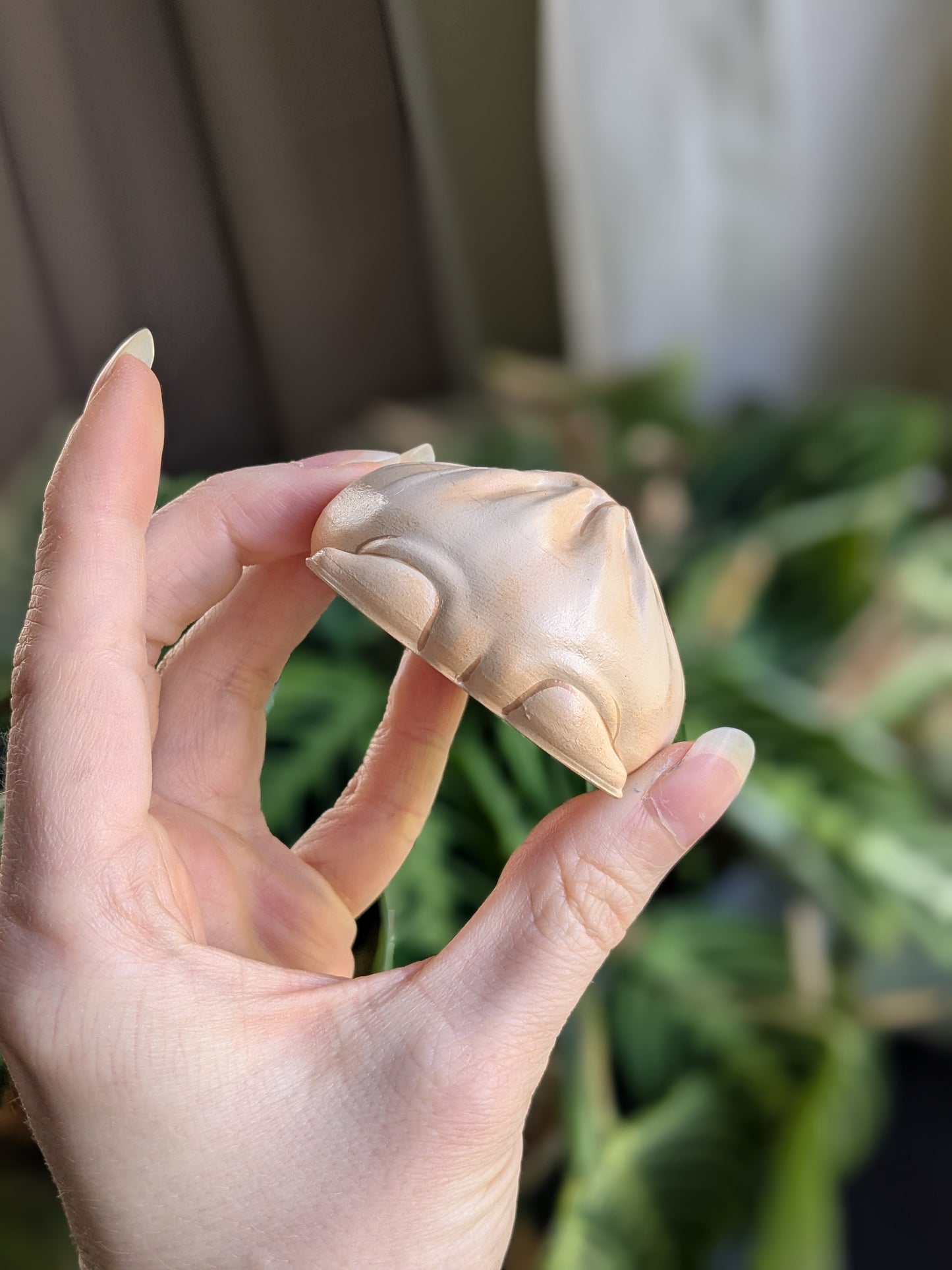 Dumpling Frog