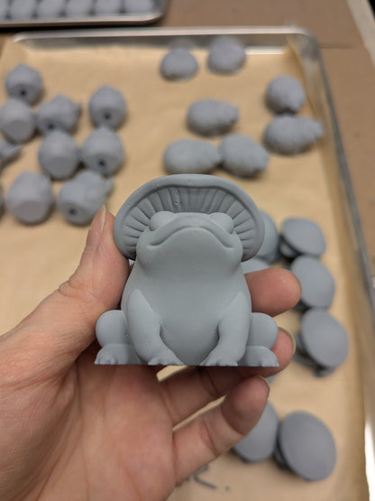 PYO Mushroom Frog | B-Grade