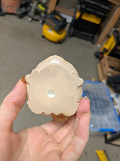 Pancake Frog | B Grade