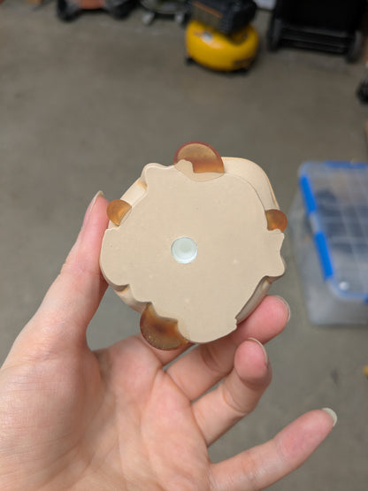 Pancake Frog | B Grade