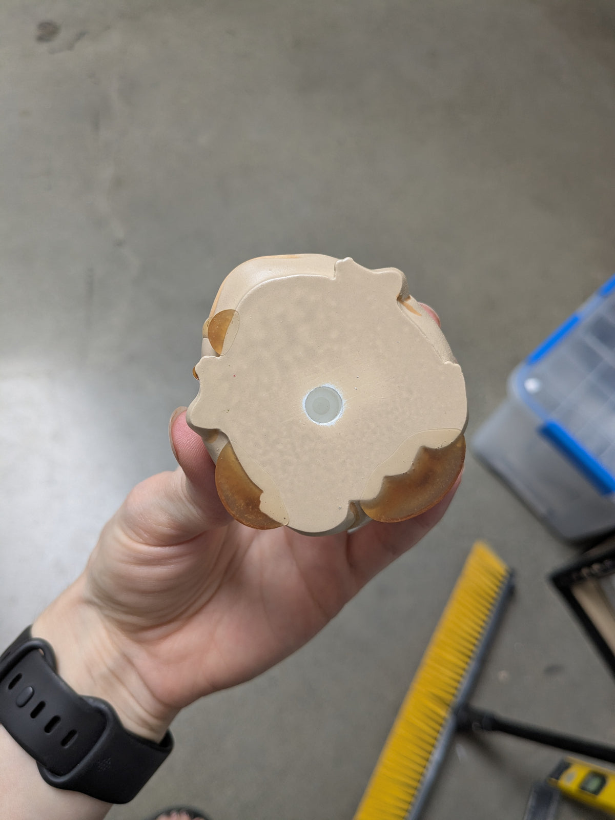 Pancake Frog | B Grade